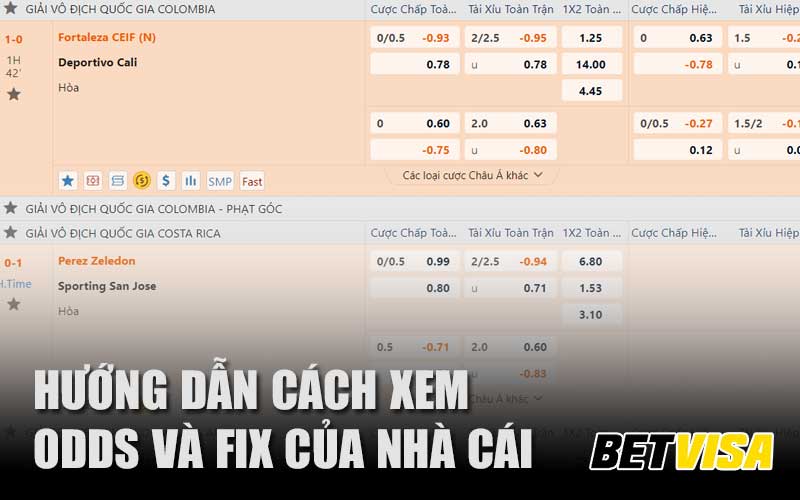 Hướng dẫn cách xem odds và fix của nhà cái