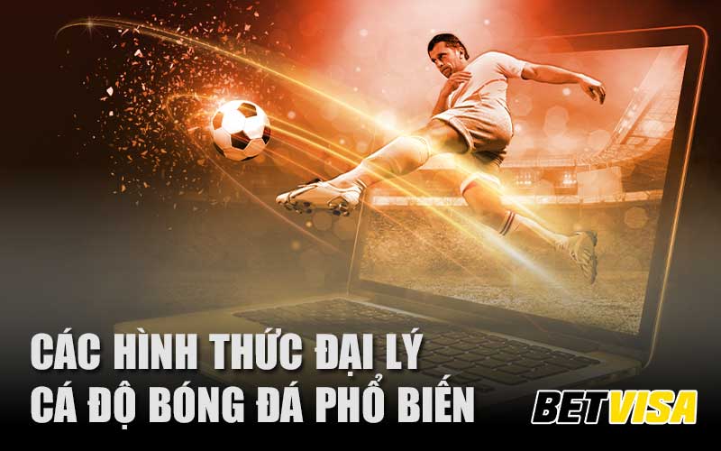 Các hình thức đại lý cá độ bóng đá phổ biến